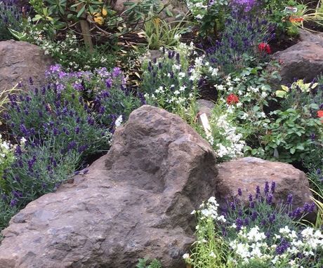 stone&palnts_s.jpg